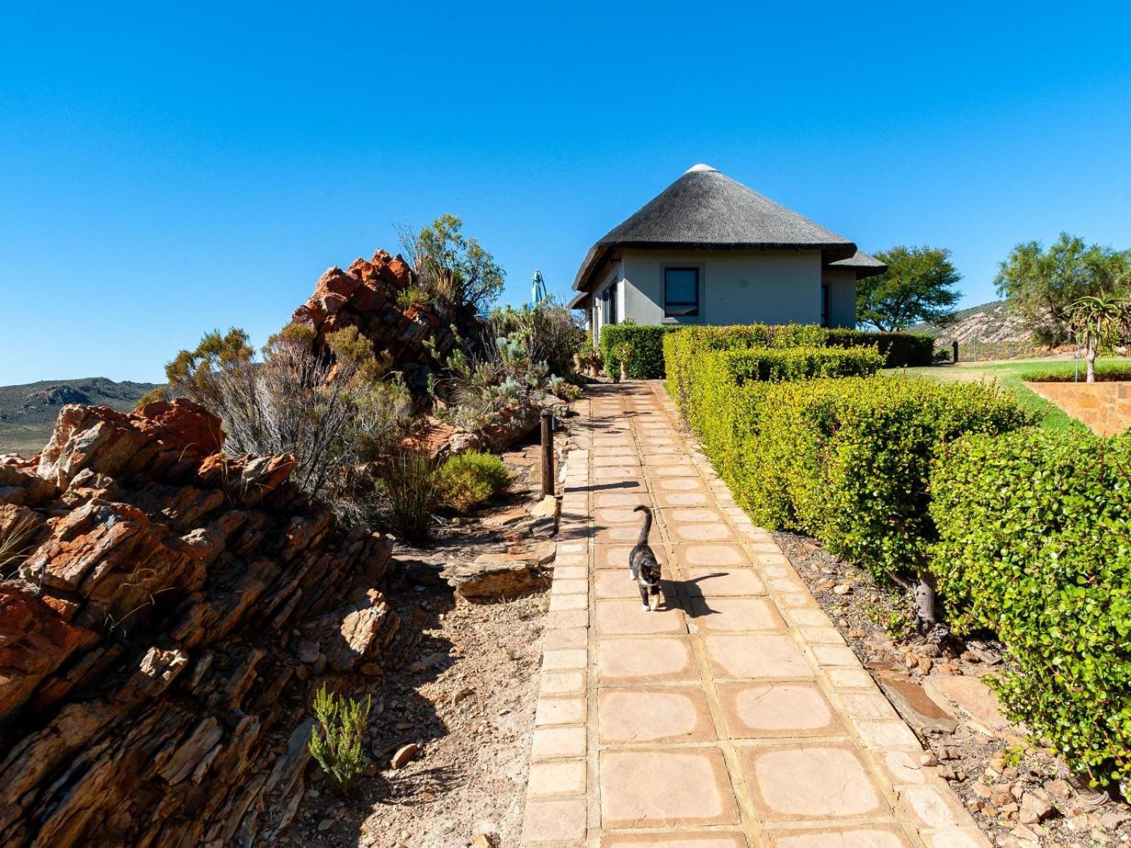 Rooilande Guest Farm Guest House Laingsburg Exterior foto